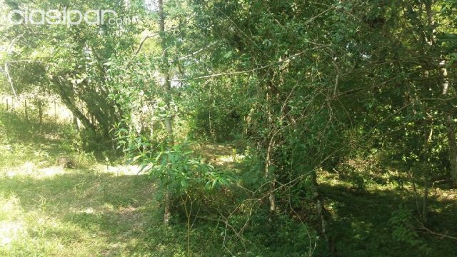 0ferta de 6 ha. en Nueva Colombia | Clasipar Terrenos - 0ferta de 6 ha. en Nueva Colombia
