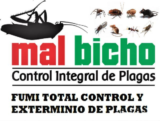 FUMIGUE SU RESIDENCIA O LUGAR DE TRABAJO SIN SALIR DE ELLA. ATENCIÓN 24 HRS | Clasipar Otros Servicios - FUMIGUE SU RESIDENCIA O LUGAR DE TRABAJO SIN SALIR DE ELLA. ATENCIÓN 24 HRS