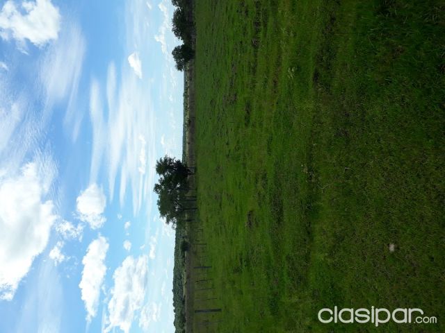 Emboscada 14 ha | Clasipar Propiedades rurales - Emboscada 14 ha