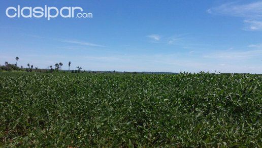550 hectáreas._Vendo.: San Pedro._Santa Rosa._Vendo!!! | Clasipar Propiedades rurales - 550 hectáreas._Vendo.: San Pedro._Santa Rosa._Vendo!!!