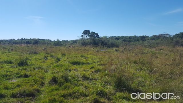 Vendo en Santani 117 HAS a pasos de la ruta 3 en el Km 152 | Clasipar Propiedades rurales - Vendo en Santani 117 HAS a pasos de la ruta 3 en el Km 152