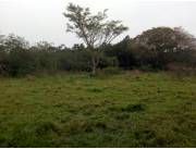 Vendo Terreno en Paraguari Vendo Terreno en Paraguari