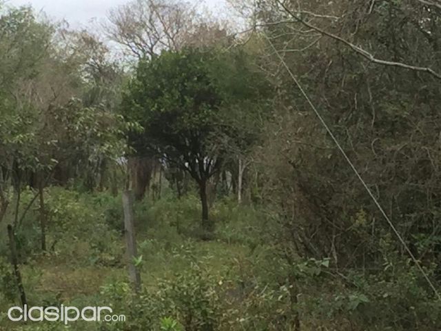 90 ha. en Arroyo y Estero | Clasipar Propiedades rurales - 90 ha. en Arroyo y Estero