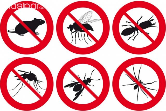 Fumigacion, control de termitas, inseptos, plagas y otros | Clasipar Insumo agropecuarios - Fumigacion, control de termitas, inseptos, plagas y otros