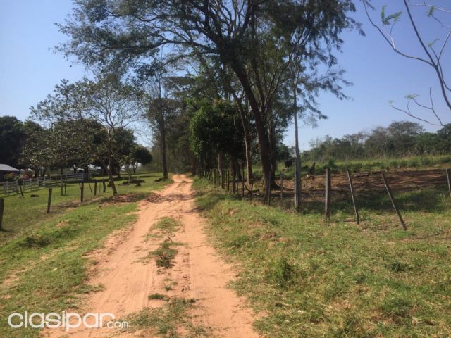 55 hectáreas. Propietario.: Transfiere. Santaní. Vendo.!!!! | Clasipar Propiedades rurales - 55 hectáreas. Propietario.: Transfiere. Santaní. Vendo.!!!!