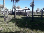 Estancia de 850 ha. S/ rio Paraguay Estancia de 850 ha. S/ rio Paraguay