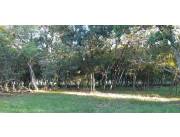 VENDO TERRENOS EN PIRIBEBUY ACUÑA VENDO TERRENOS EN PIRIBEBUY ACUÑA