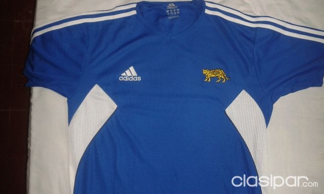 remeras de rugby originales