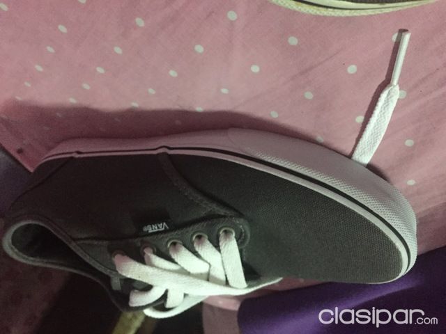 champion vans